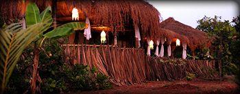 Banyan Tree Yoga