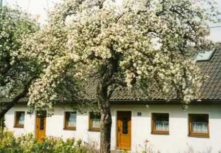 Gastehaus Apfelbaum