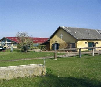 Hotel Bauernhof Althof Frauenkirchen