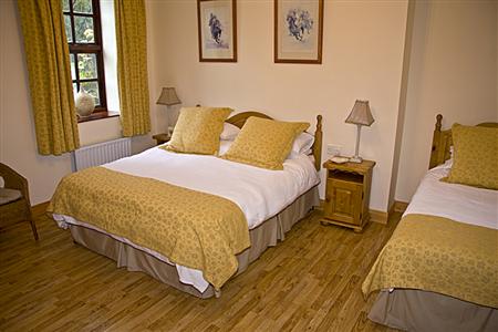 Stables Apartment Fivemiletown