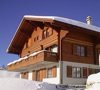 Chalet Ermina Hotel Leysin