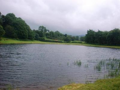 Cashel Lake View