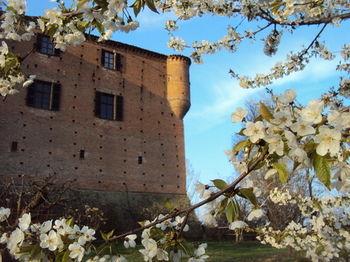 Agriturismo Ma che bel Castello