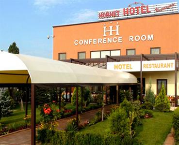 Hotel Hornet Chiajna