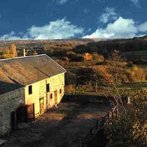 Haras de Kenmare